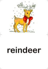 reindeer.pdf